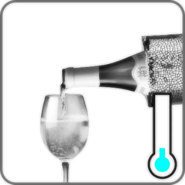 Rapid Ice Wine Bottle Cooler 10 Rapid Ice Wine Bottle Cooler - Image 8