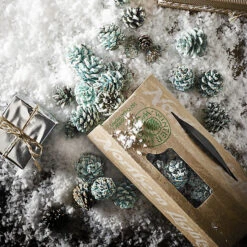 Northern Lights Colour Fire Cones -Kitchen Supplies Store 7628 3